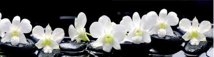 Скинали 'Дзен. Белые орхидеи'