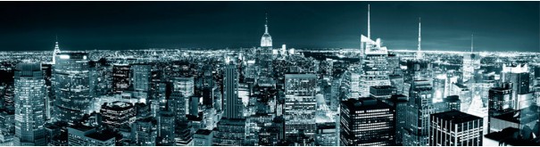 Скинали 'Ночная панорама Нью Йорка'