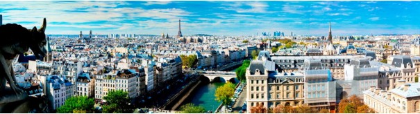 Скинали 'Вид на Париж с Нотр Даме'