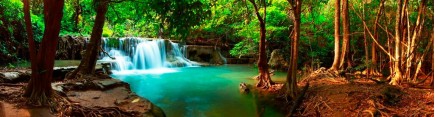 Скинали 'Лесной водопад. Тайланд'