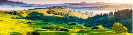 Скинали 'Зеленые холмы Тосканы'