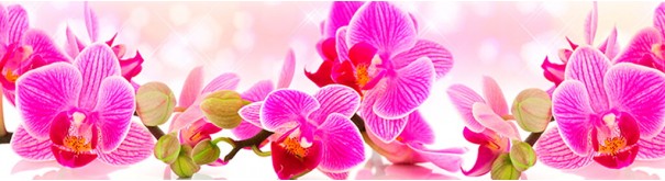 Скинали 'Соцветье орхидеи'