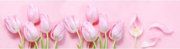 Скинали 'Нежные розовые тюльпаны'
