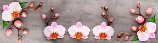Скинали 'Цветы орхидеи'