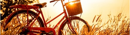 Скинали 'Солнечные вечер с велосипедом'
